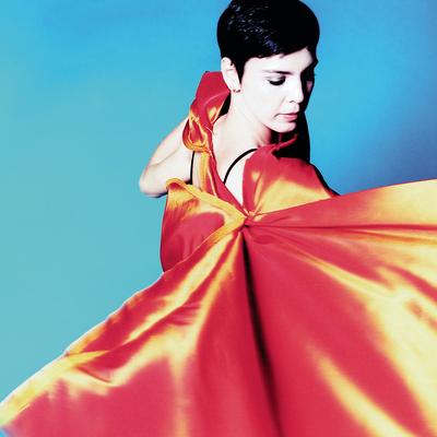 Mão E Luva (Album Version) By Adriana Calcanhotto, Pedro Luis e a Parede's cover