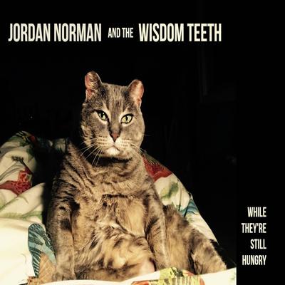 String Theory By Jordan Norman and the Wisdom Teeth's cover