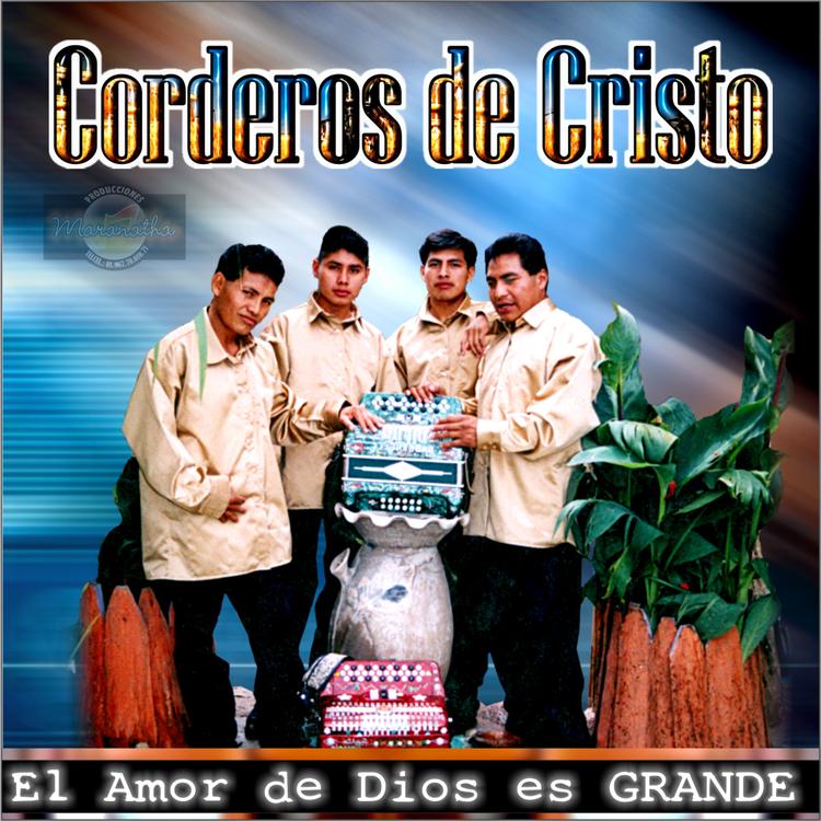 Corderos De Cristo's avatar image