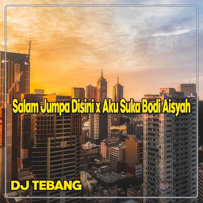 DJ Salam Jumpa Disini x Aku Suka Bodi Aisyah's cover