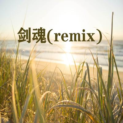 剑魂(remix)'s cover