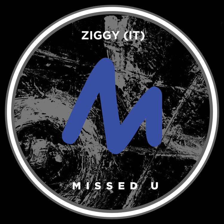 Ziggy (IT)'s avatar image