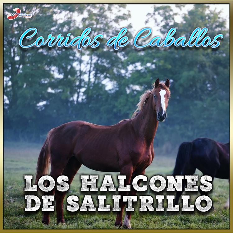 Los Halcones De Salitrillo's avatar image