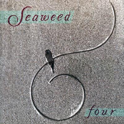 Card Tricks By Seaweed's cover