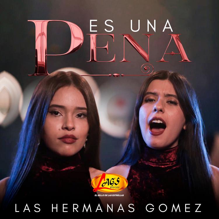 Las Hermanas Gomez's avatar image