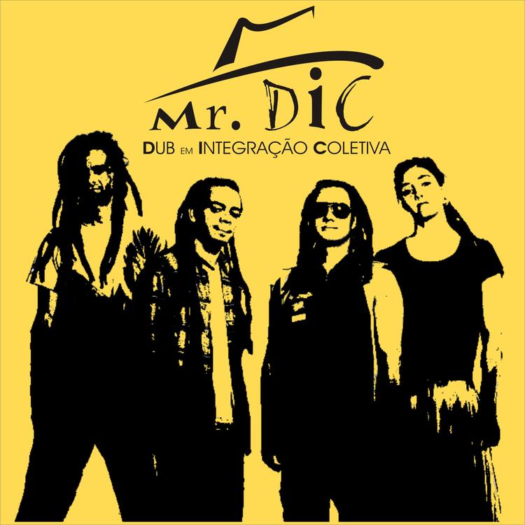 Mr. Dic's avatar image