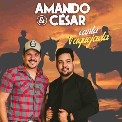 Canta Vaquejada's cover