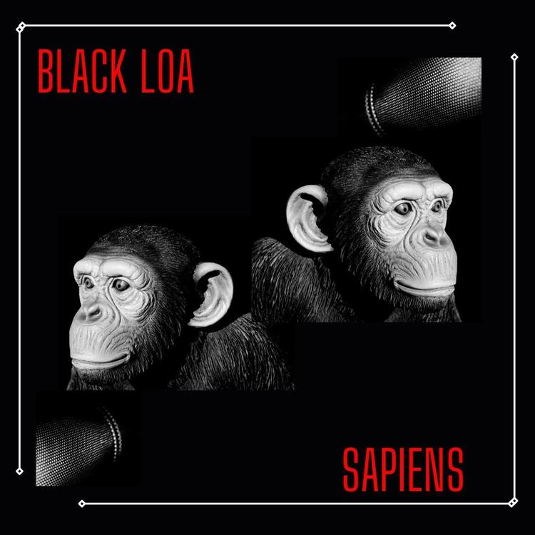 Black Loa's avatar image