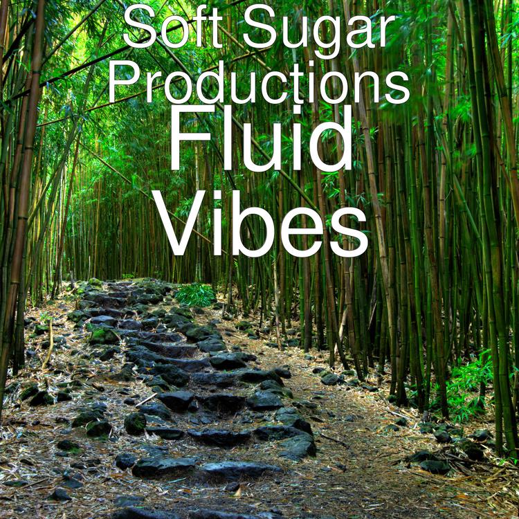 Soft Sugar Productions's avatar image