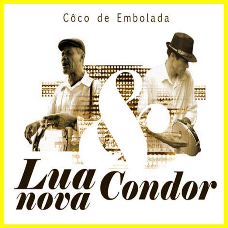 Condor e Lua nova's avatar image