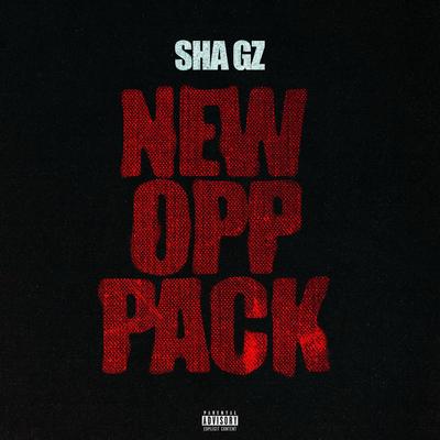New Opp (Slowed Down) By Sha Gz's cover