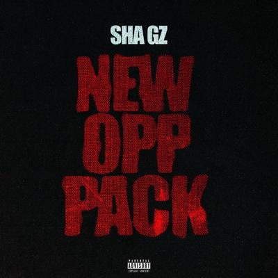 New Opp (Sped Up) By Sha Gz's cover