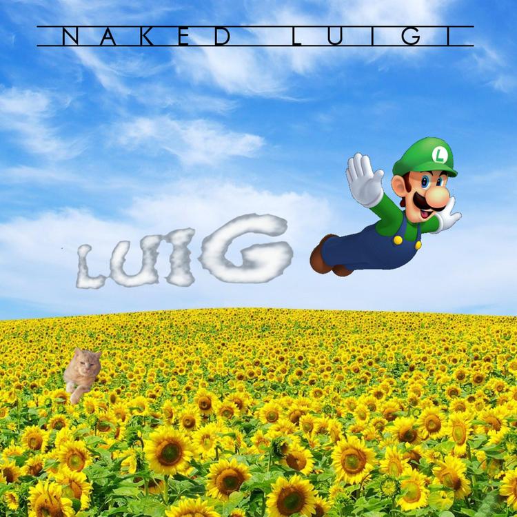 Naked Luigi's avatar image