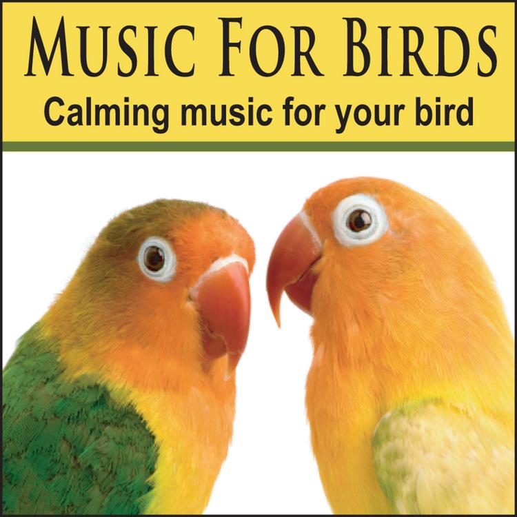 Pet Music Artists's avatar image