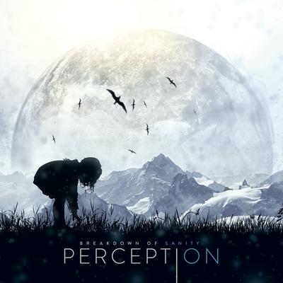 Perception By Breakdown of Sanity's cover