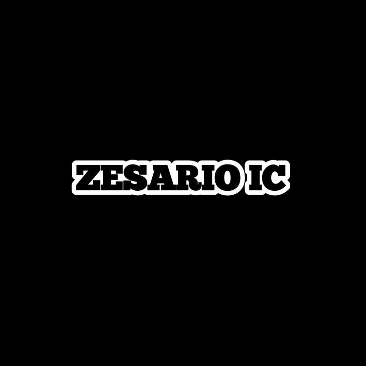 Zesario Ic's avatar image