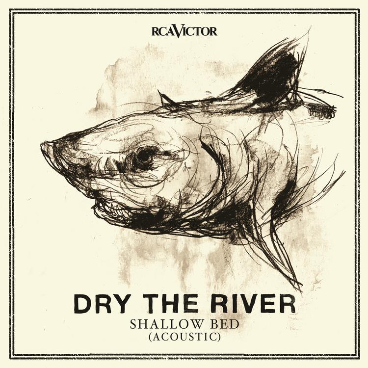 Dry the River's avatar image