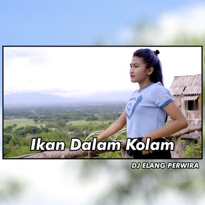 Ikan Dalam Kolam's cover