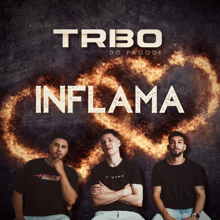 Tribo do Pagode's avatar image