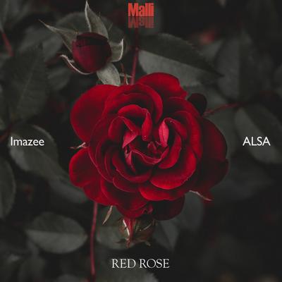 Red Rose By Alsa, Imazee's cover