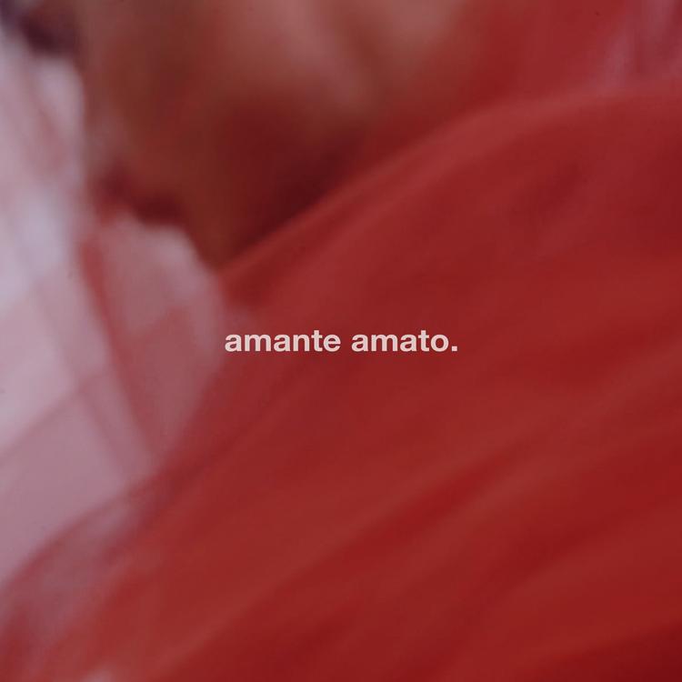 Amante Amato's avatar image