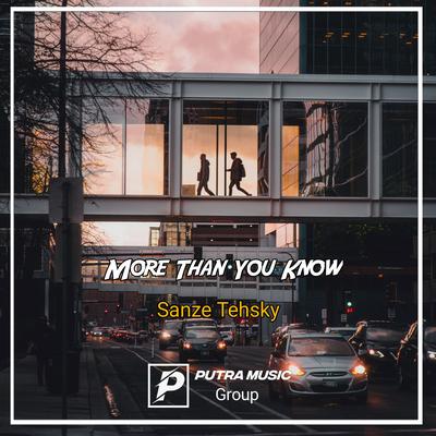 More Than You Know (Remix) By Sanze Tehsky's cover