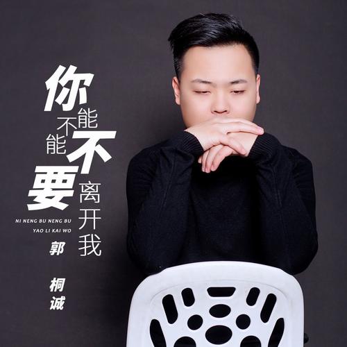 你能不能不要离开我's cover