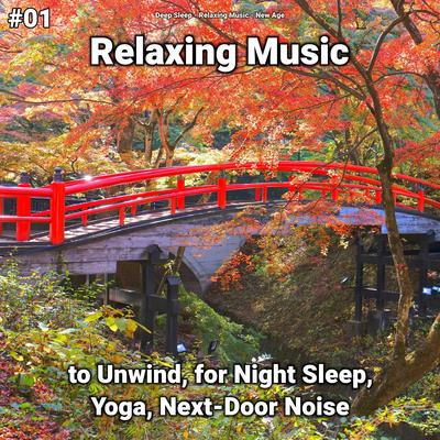 #01 Relaxing Music to Unwind, for Night Sleep, Yoga, Next-Door Noise's cover