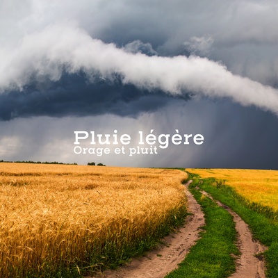 Forte pluie et tonnerre By Orage et pluit's cover