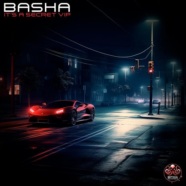 Basha's avatar image
