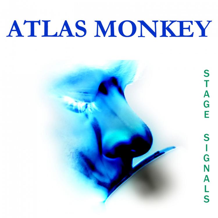 Atlas Monkey's avatar image