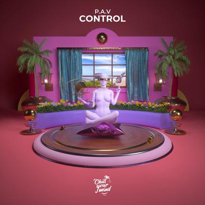 Control By P.A.V's cover