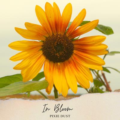 In Bloom By Pixie Dust's cover