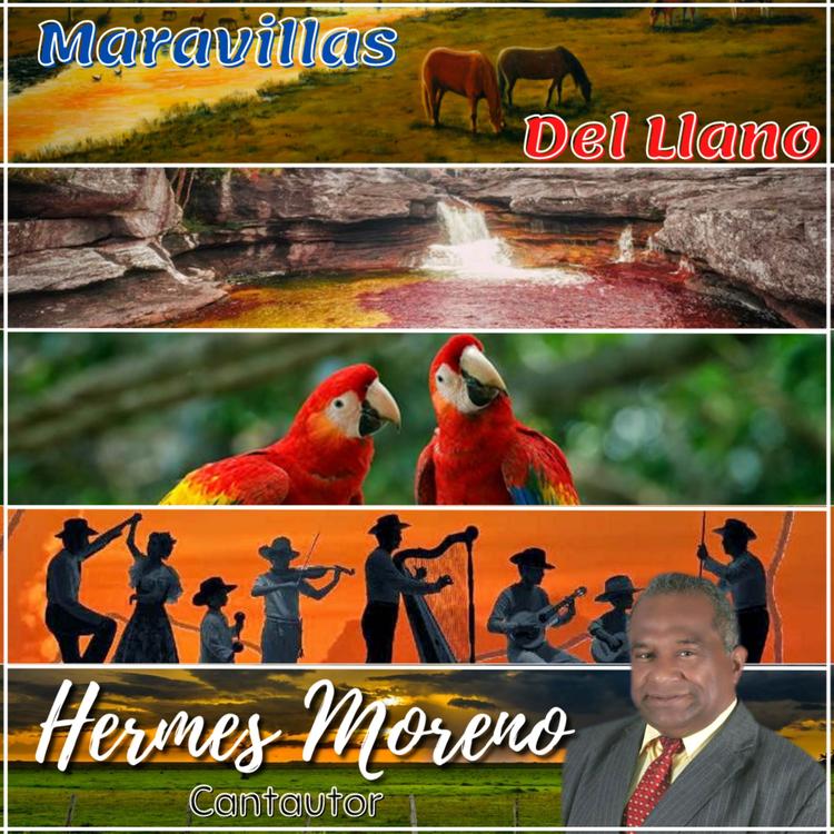 Hermes Moreno's avatar image