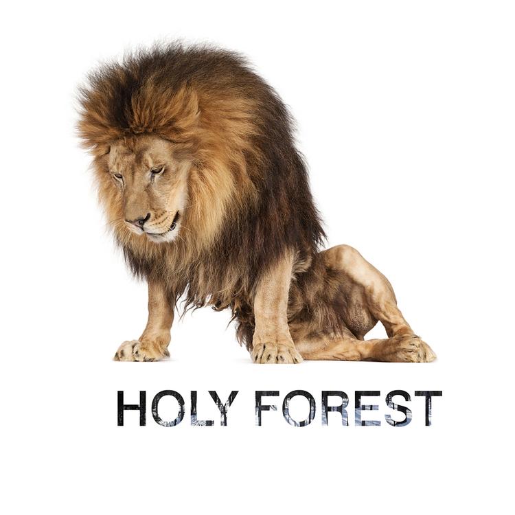 Holy Forest's avatar image