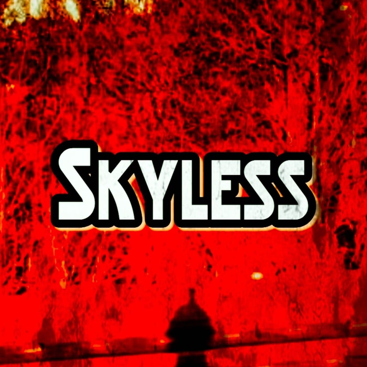 Skyless's avatar image