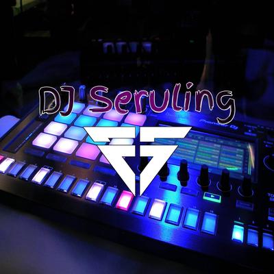 DJ Seruling's cover
