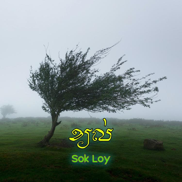 Sok Loy's avatar image