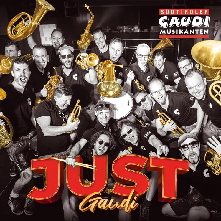 Südtiroler Gaudimusikanten's avatar image