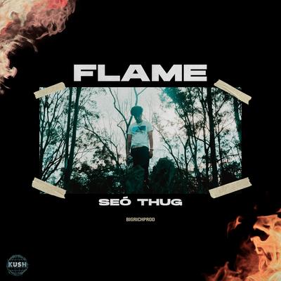 Flame's cover