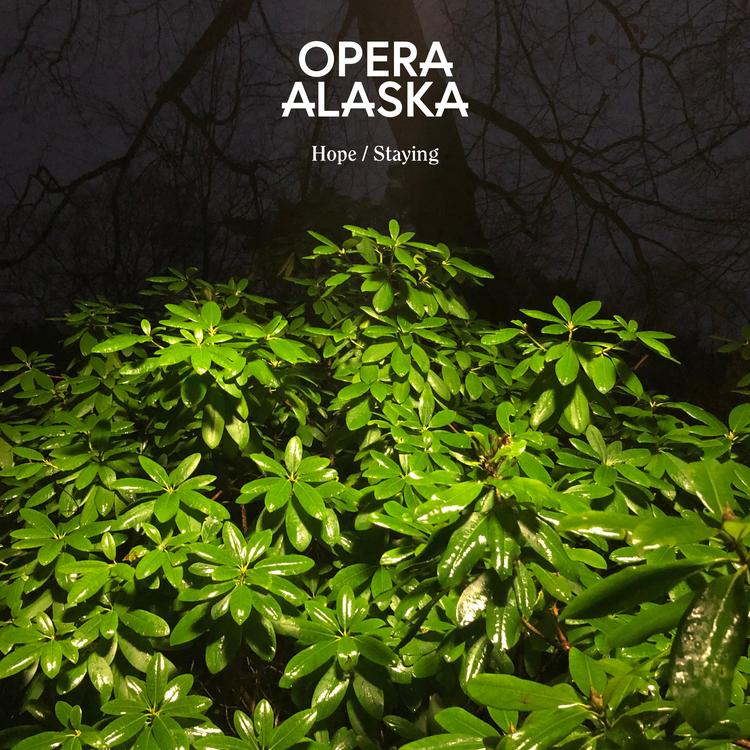 Opera Alaska's avatar image