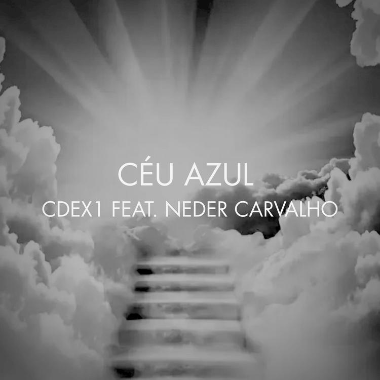 CDEX1's avatar image