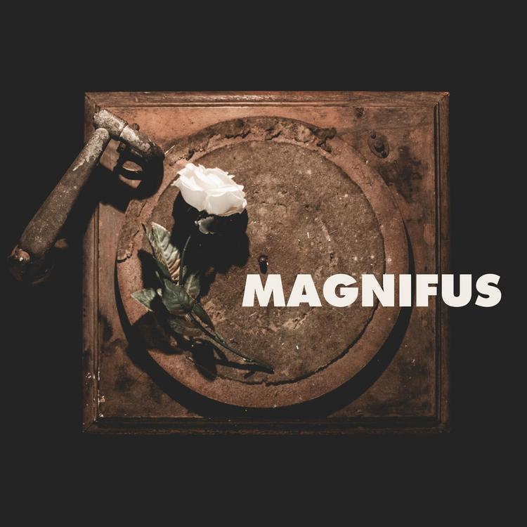 Magnifus's avatar image