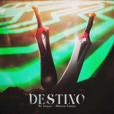 Destino (Emiya Shirou)'s cover