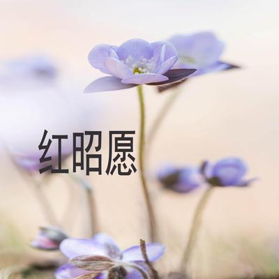 红颜旧's cover