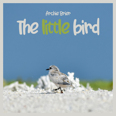 The Little Bird's cover