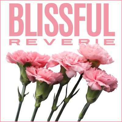 Blissful Reverie's cover