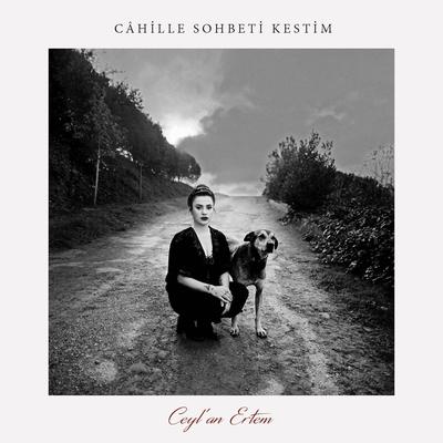 Câhille Sohbeti Kestim's cover