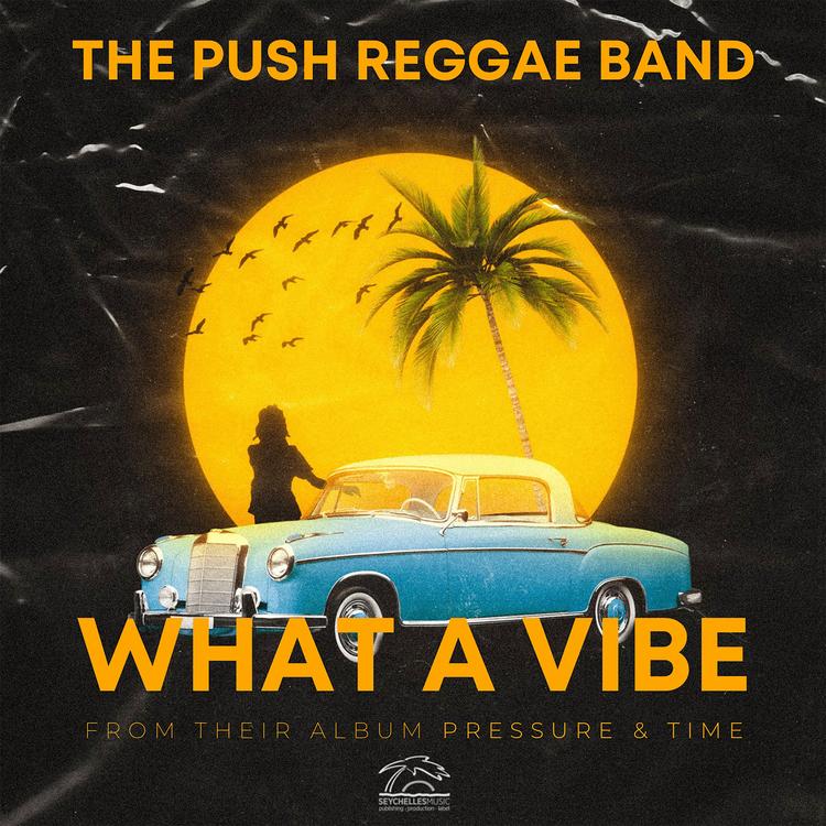 THE PUSH REGGAE BAND's avatar image