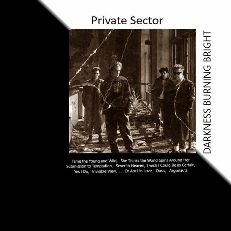 Private Sector's avatar image